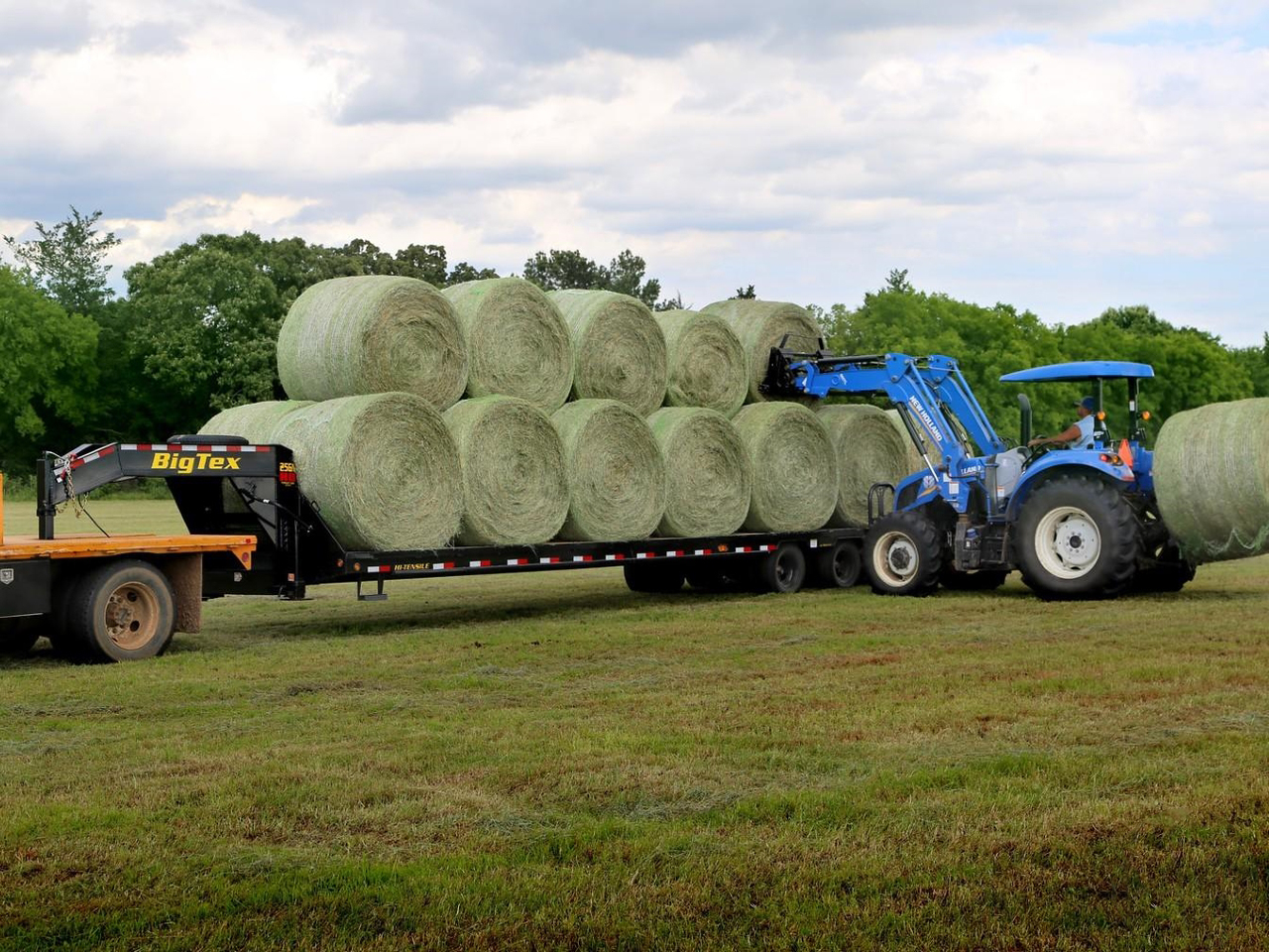 Big Tex 25 GN 28+5  25K Mega Ramp Gooseneck Flatbed Trailer 25GN Big Tex Trailer 25GN-33D5A-MRBK